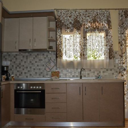דירות ניקיטי Petros House מראה חיצוני תמונה